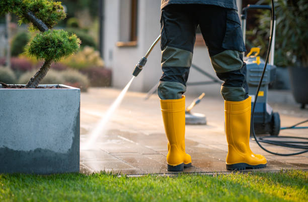 Best Best Pressure Washing Companies  in Moundville, AL